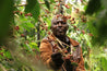 Rwanda Anaerobic Micro Lot Arabica Green Coffee Beans (1kg)