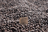 Burundi Fully Washed Arabica Green Coffee Beans (1kg)
