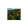 Colombian Decaffeinated El Buhu Sugarcane Decaff Green Coffee Beans (1kg)