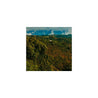Colombian Decaffeinated El Buhu Sugarcane Decaff Green Coffee Beans (1kg)