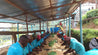 Rwanda Anaerobic Micro Lot Arabica Green Coffee Beans (1kg)