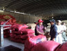 Mexico Seleccion Puebla Washed Arabica Green Coffee Beans (1kg)