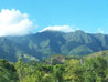 Serrano Lavado, Cumanayagua - New Crop Washed Arabica Green Coffee Beans (1kg)