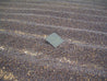 El Salvador Finca La Mercedes Honey Arabica Green Coffee Beans (1kg)