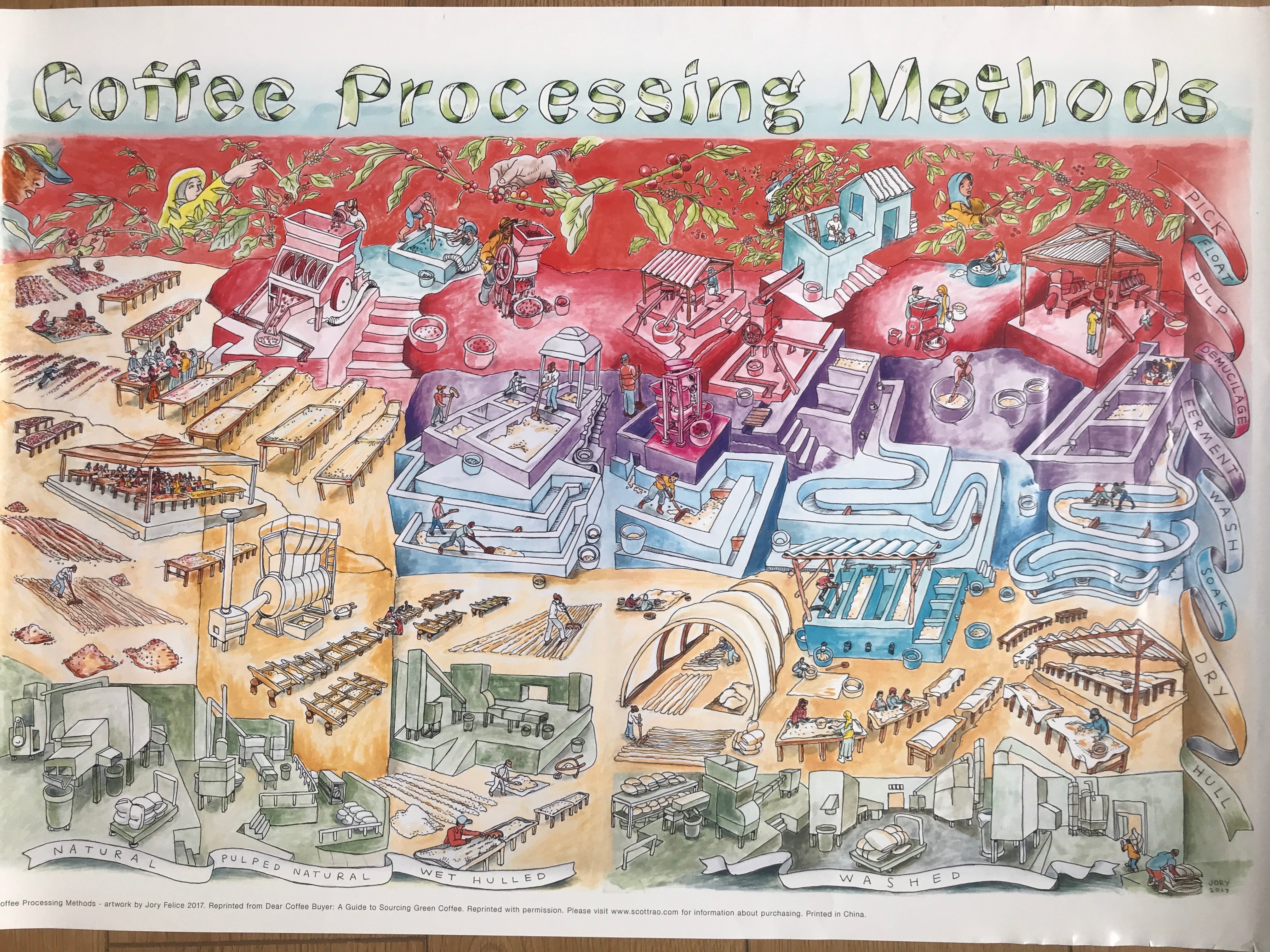 Coffee Processing Methods Poster – Pennine Tea and Coffee