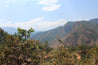 Guatemala Conebosque Green Coffee Beans Washed Arabica (1kg)