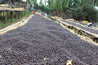 Ethiopian Yirgacheffe Natural Process Arabica Green Coffee Beans (1kg)