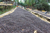 Ethiopian Yirgacheffe Gedeb Grade 1 Natural Process Arabica Green Coffee Beans (1kg)