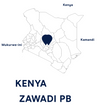 Kenya Peaberry Washed Arabica Green Coffee Beans (1kg)