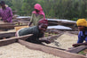 Ethiopia Limu Washed Arabica Green Coffee Beans (1kg)