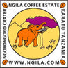 Tanzania Ngila Estate Arabica Green Coffee Beans (1kg)