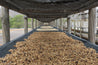 Nicaragua Pineapple Candy Arabica Green Coffee Beans (1kg)