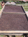 Ethiopian Rocko Mountain Reserve Natural Arabica Green Coffee Beans (1kg)