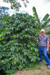 Nicaragua Natural Arabica Green Coffee Beans (1kg)