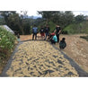 Peru El Eden Semi Anaerobic Arabica Green Coffee Beans (1kg)