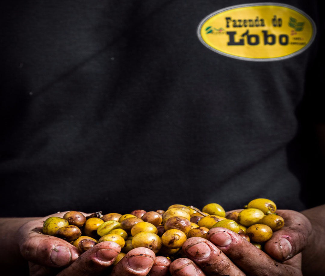 Lobo Fruit Picking Bag - Citrus Bag – Lobo Products, Inc.